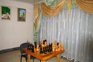 Шахматы